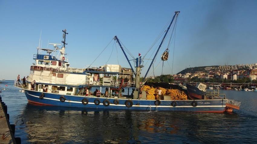 2 ay sonra hamsi avı bitebilir! Trabzonlu balıkçıların erken gelen hamside endişesi var