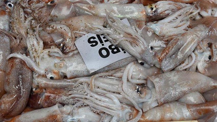 Egeli balıkçılar sezon açılışından memnun! Denizin bereketi tezgahlara aktı