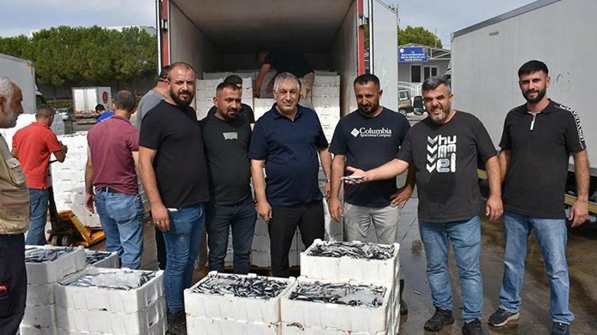 Egeli balıkçılar sezon açılışından memnun! Denizin bereketi tezgahlara aktı