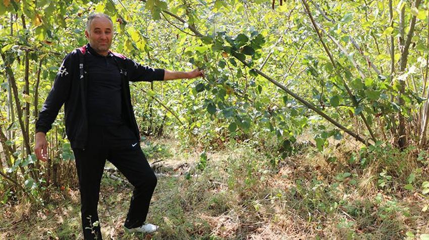 Bolu'da yıllar önce ayı saldırısından dolayı babası felç olan vatandaşa da ayı saldırdı