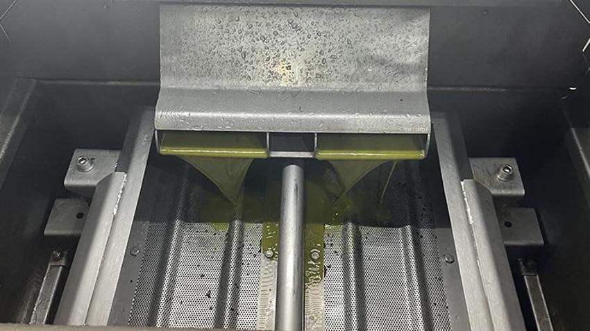 Erken hasat başladı! Bursa'da üretiliyor, dünyanın dört bir yanından sipariş yağıyor