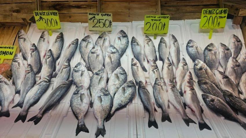 Marmara Denizi'nde balık bereketi sıcak havalara takıldı: Sezon açıldı, fiyatlar fırladı