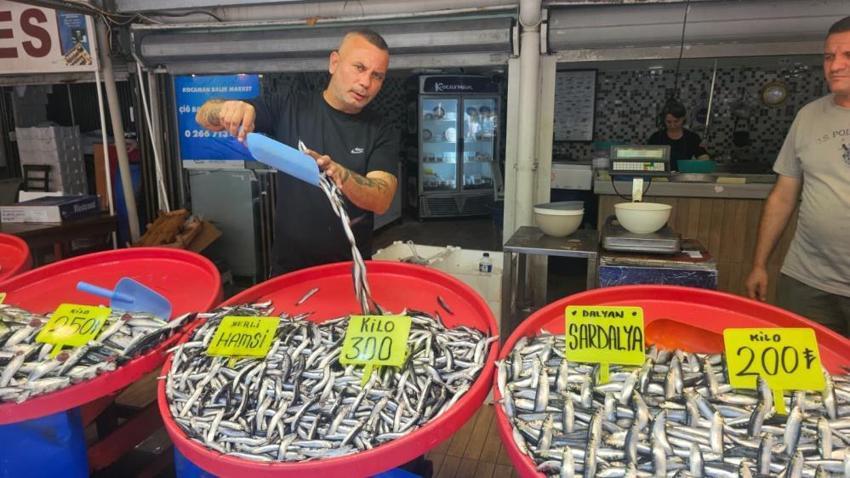 Marmara Denizi'nde balık bereketi sıcak havalara takıldı: Sezon açıldı, fiyatlar fırladı