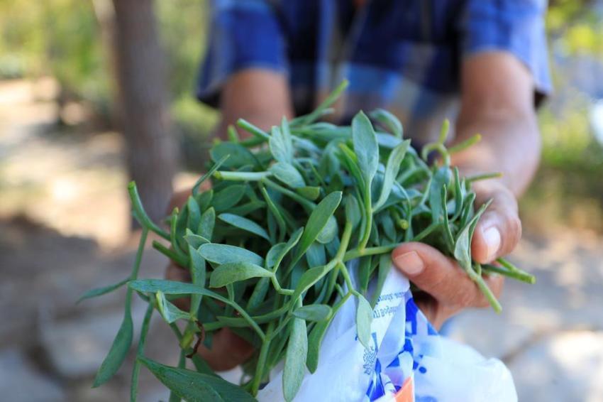 Hastalığına şifa ararken meslek sahibi oldu! Falezlerde düz yolda yürür gibi yürüyor, gören itfaiyeyi arıyor