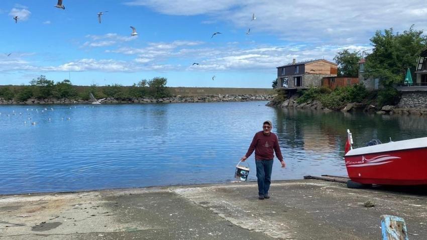 Artvin'de balık ustasının ilginç hikayesi: Martılarla bağı şaşırtıyor