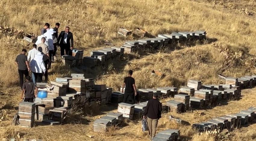 Hakkari'de bu köyde herkes hayvancılığı bırakıp bu işi yapmaya başladı: Hasat başladı, verim yüz güldürüyor