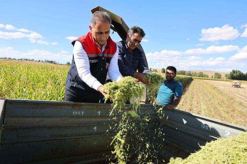 Kars'ta toprağa asit uygulaması: 4 çeşitte yüzde 75 verim artışı sağlandı