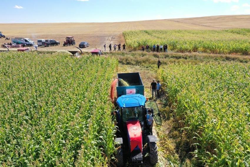 Kars'ta toprağa asit uygulaması: 4 çeşitte yüzde 75 verim artışı sağlandı