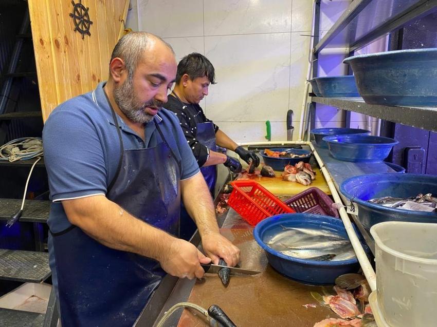 20 yıl sonra geri döndü, 200 liradan satılıyor! "Bu yıl uskumru yılı olacak"