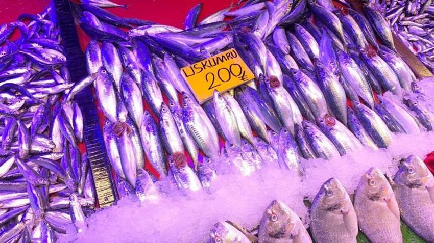 20 yıl sonra geri döndü, 200 liradan satılıyor! "Bu yıl uskumru yılı olacak"