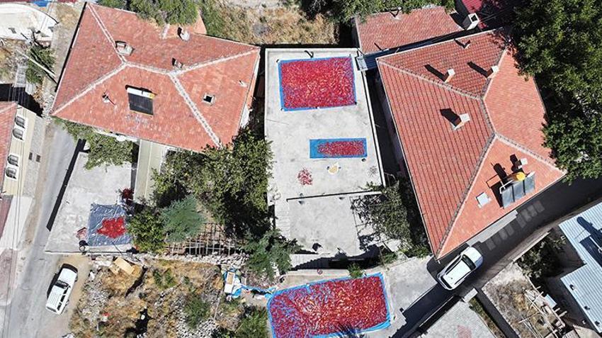 Kayseri'de bir mahallenin geçimi bu üründen sağlanıyor! Hasattan sonra mahallenin damlarına seriliyor
