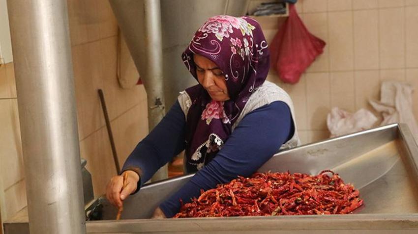 Kayseri'de bir mahallenin geçimi bu üründen sağlanıyor! Hasattan sonra mahallenin damlarına seriliyor