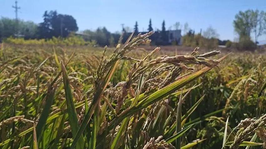 Üretimde yeni yöntem yüzde 50 su tasarrufu sağladı! Bursa'da ilk kez denendi
