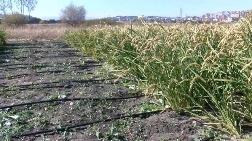 Üretimde yeni yöntem yüzde 50 su tasarrufu sağladı! Bursa'da ilk kez denendi