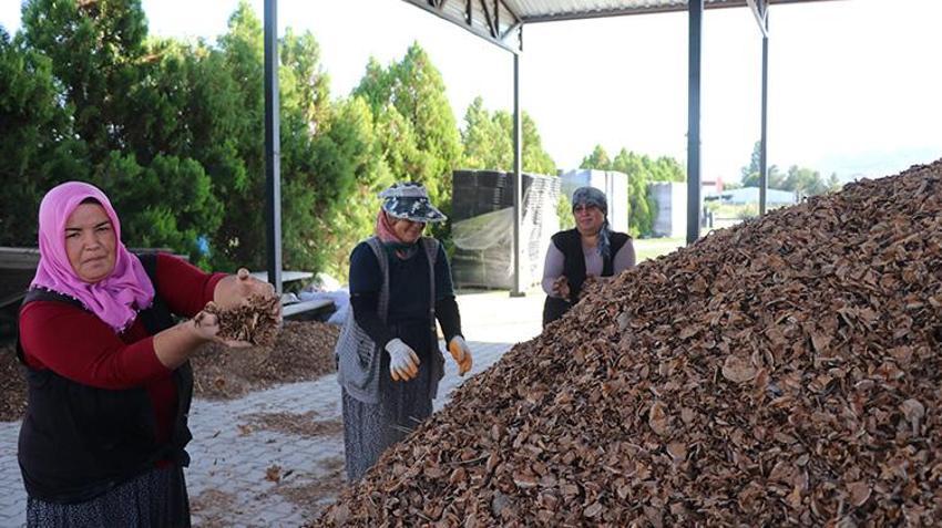 Kayseri'de yetiştirilen fidanlar akciğerlerimize yeniden nefes olacak