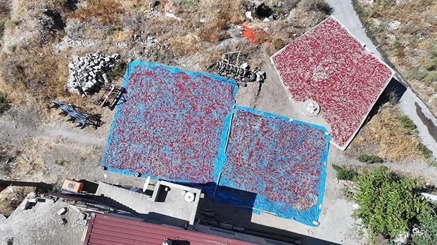 Kayseri'de üretildi, Avrupa'nın diline düştü! Sokak arasında 12 ton yapılıyor, kilosu 750 lira