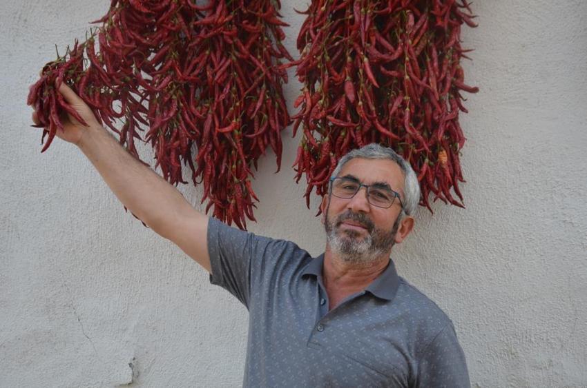 Yunanistan'dan getirdiler, Bilecik'in 'kırmızı altın'ı oldu! Balkonlardan taştı, 81 ile kapış kapış gidiyor
