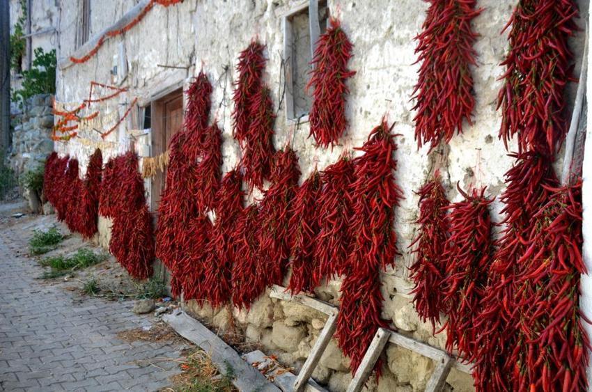 Yunanistan'dan getirdiler, Bilecik'in 'kırmızı altın'ı oldu! Balkonlardan taştı, 81 ile kapış kapış gidiyor