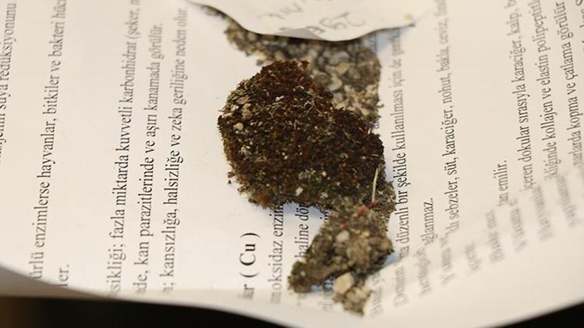 Denizden kilometrelerce uzakta Çankırı'da bulundu! Bilim insanları şaşkın