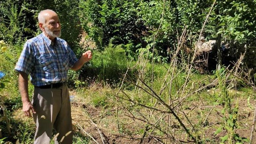 Erzincan'da köye musallat oldular! Korkudan evden çıkamıyorlar: Can güvenliğimiz yok