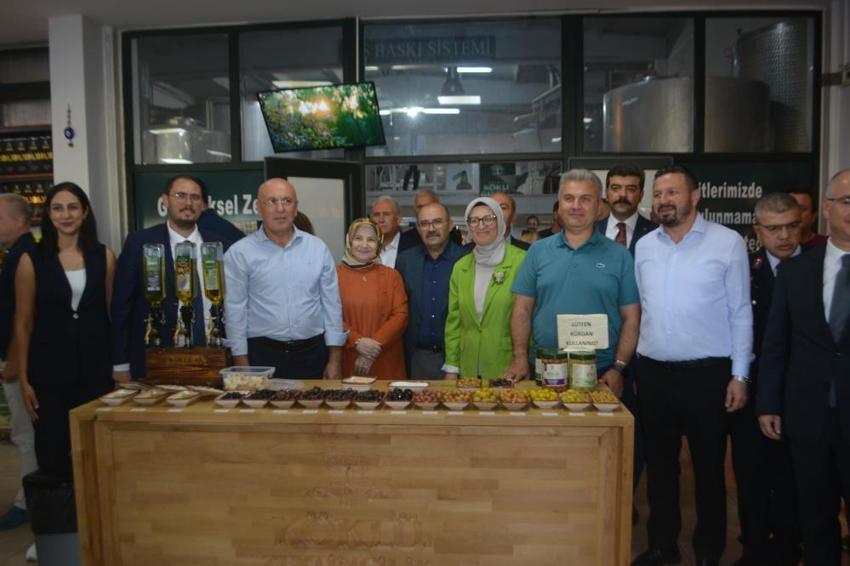 Türkiye'nin zeytin cennetinde hasat başladı: 200 bin ton rekolte bekleniyor