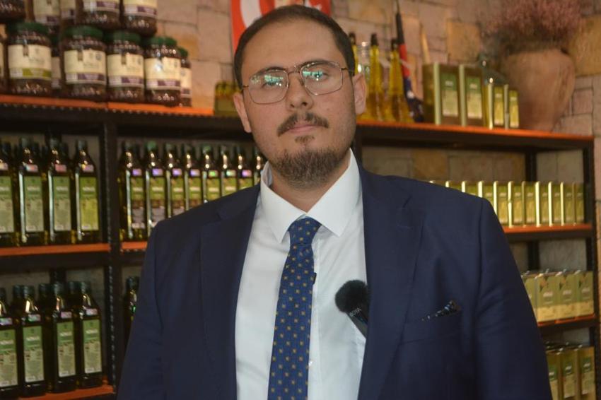 Türkiye'nin zeytin cennetinde hasat başladı: 200 bin ton rekolte bekleniyor