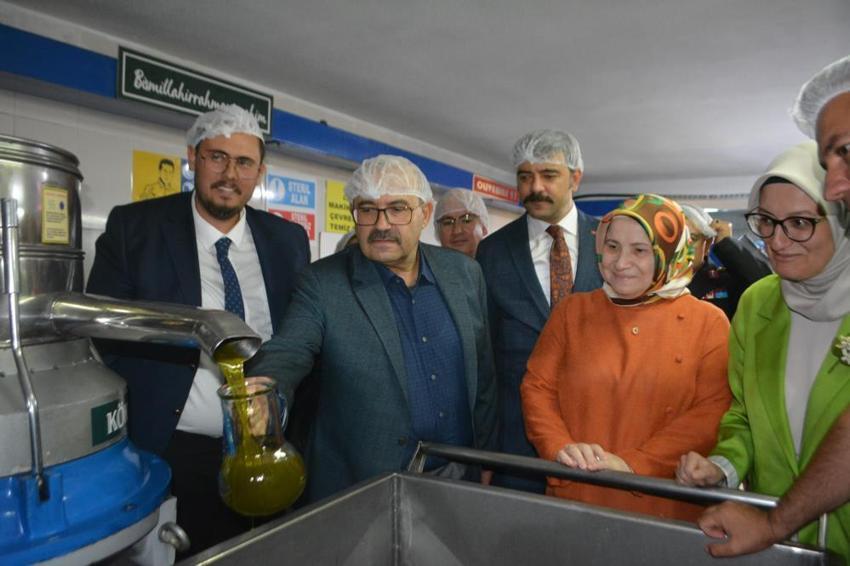 Türkiye'nin zeytin cennetinde hasat başladı: 200 bin ton rekolte bekleniyor