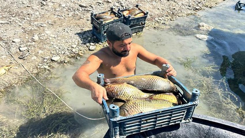 Ayda 200 bin TL kazanıyor! Sabahın ilk ışıklarından geceye kadar çalışıyor: Çocuk yaşta başladı