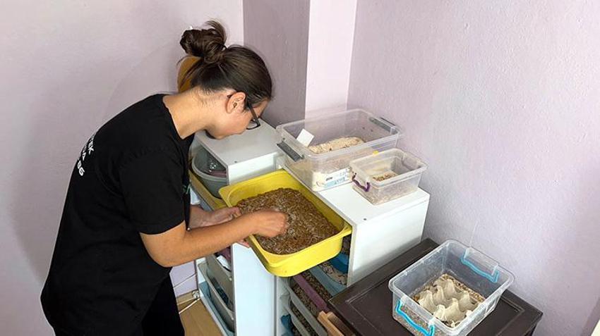 Yanlış ilaç kullanımından hayvanları ölünce kendi tesisini kurdu! Haftada 250 kilogram üretiyor, taleplere yetişemiyor