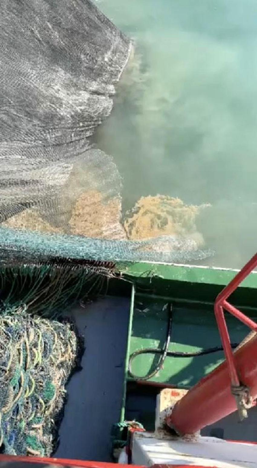 Marmara Denizi'nde alarm zilleri çalıyor: Müsilaj geri döndü!