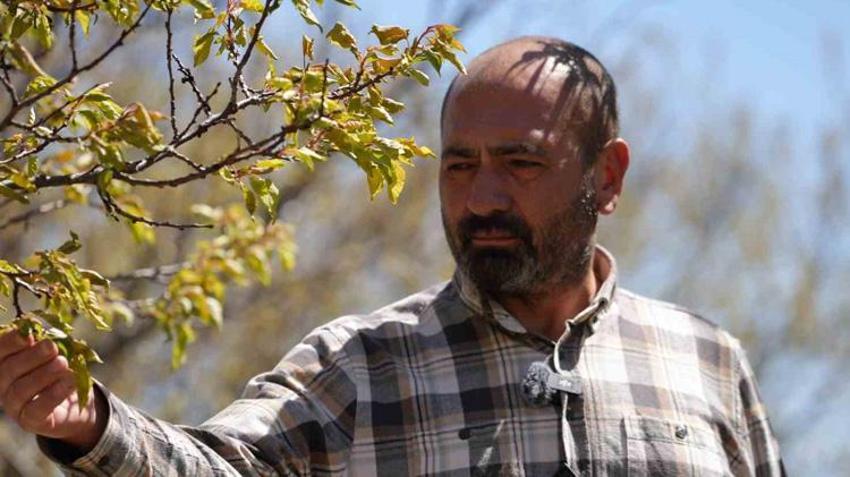 Kayserili çiftçiler dikkat! Meteoroloji'den kritik zirai don uyarısı