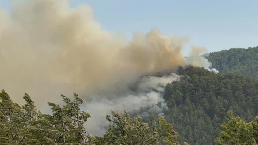 Kadınlardan yangın bölgesinde destek: Onlar mutfakta çalıştı