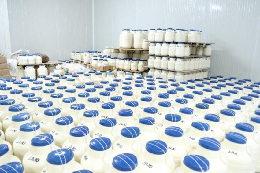 Erzincan'da Şavak Aşireti'nin zorlu yayla mesaisi meyvesini verdi! Tescilli ürünün satışları başladı