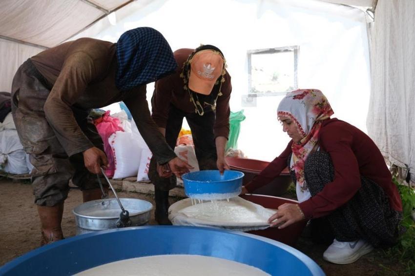 Erzincan'da Şavak Aşireti'nin zorlu yayla mesaisi meyvesini verdi! Tescilli ürünün satışları başladı