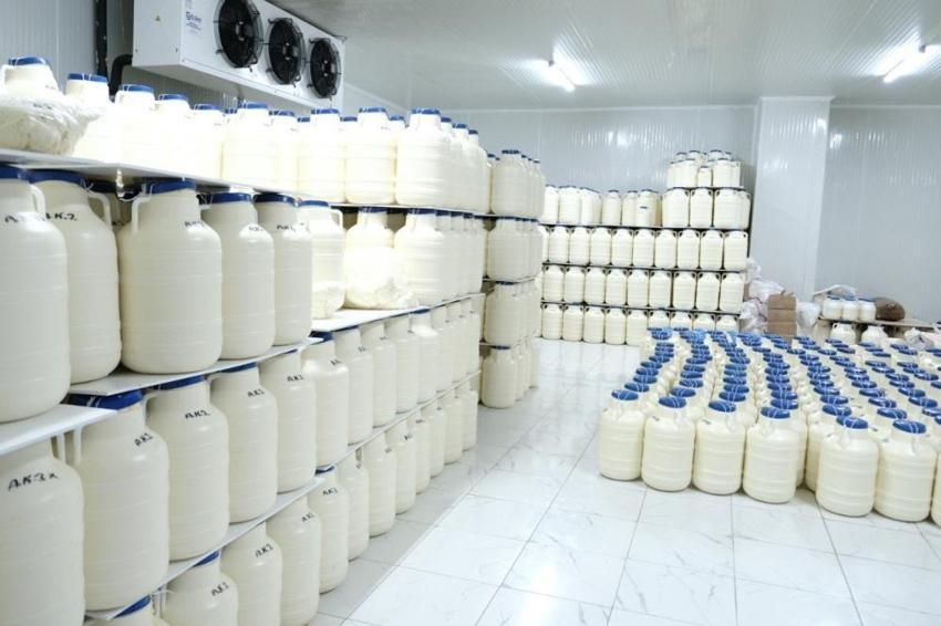 Erzincan'da Şavak Aşireti'nin zorlu yayla mesaisi meyvesini verdi! Tescilli ürünün satışları başladı