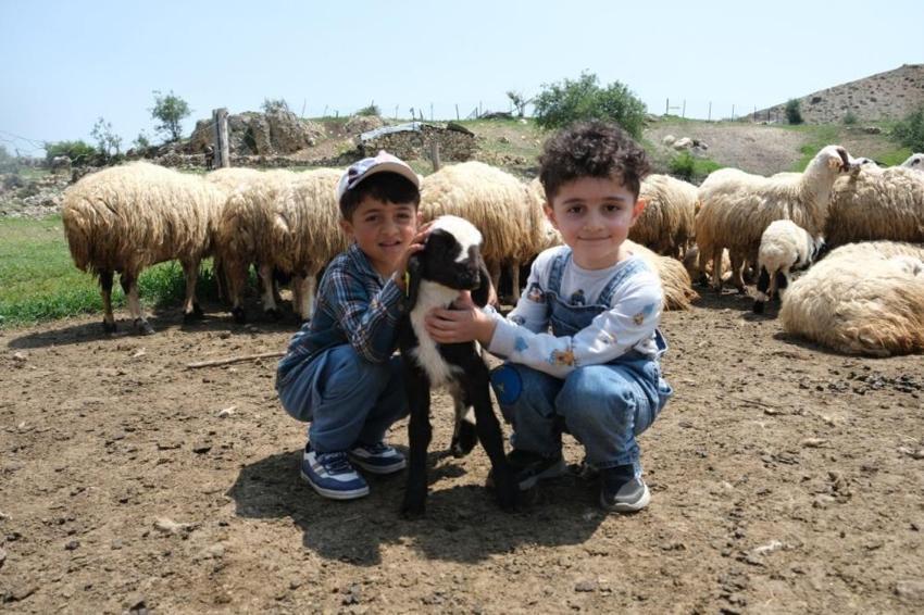 Erzincan'da Şavak Aşireti'nin zorlu yayla mesaisi meyvesini verdi! Tescilli ürünün satışları başladı