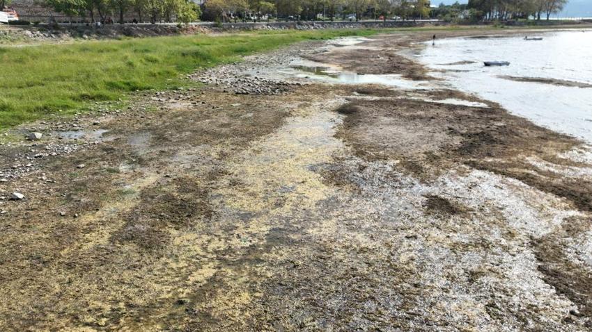 Bursa alarm durumuna geçti: İznik Gölü karaya oturdu