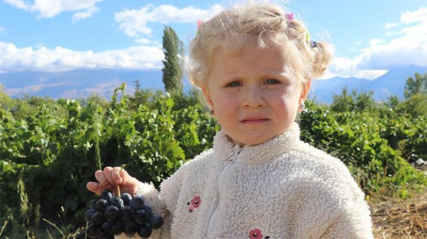 Erzincan’ın siyah incisi için hasat zamanı! Türkiye'nin dört bir yanına satış başladı
