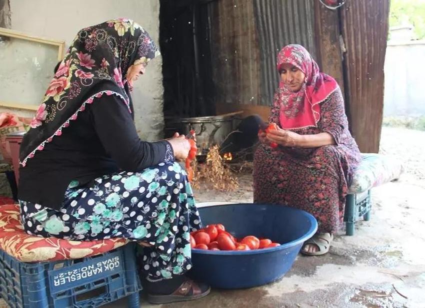 Ağrı'da kış öncesi son hazırlık! Domatesin başına oturdular