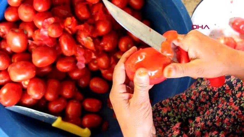 Ağrı'da kış öncesi son hazırlık! Domatesin başına oturdular
