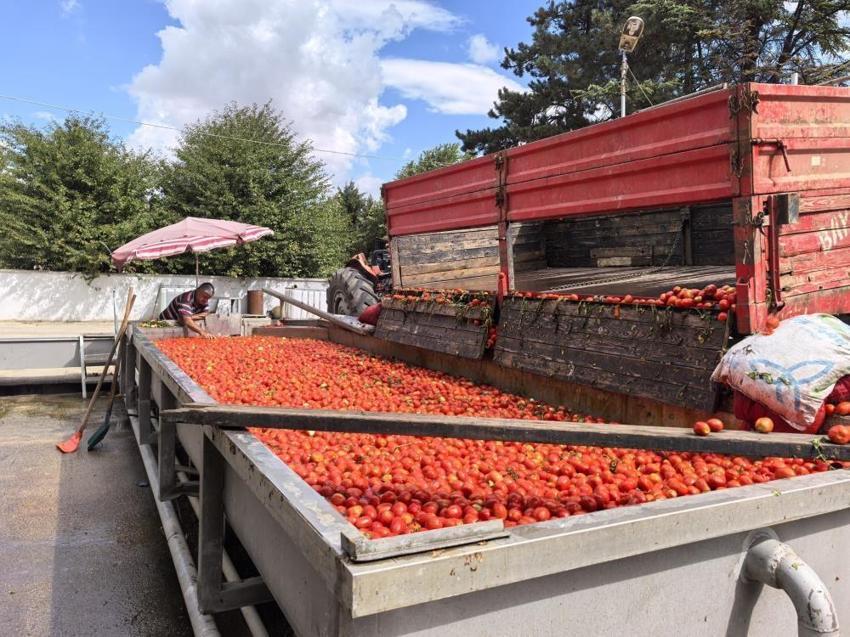Bursa'da 1 mahalle Hollanda için çalışıyor! Sadece kadınlar üretiyor: 2 bin ton ihracat var