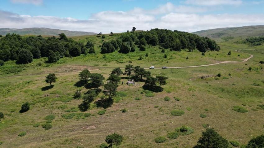 Kayıp Osmanlı şeyhi Tokat'ta bulundu! Çaldıran Seferi'nde vefat etti, türbesine akın var!