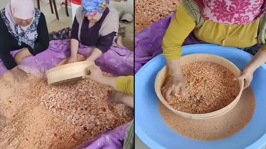 Her derde deva! Sinop'ta kış hazırlığı başladı! İmece usulü hazırlanıyor