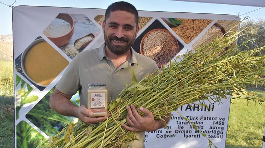 Şırnak'ta Dergul tahini coğrafi işaret kazanınca ham maddesinin üretim alanı genişledi! Çiftçiler oraklarla biçiyor