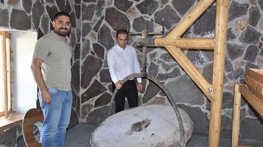 Şırnak'ta Dergul tahini coğrafi işaret kazanınca ham maddesinin üretim alanı genişledi! Çiftçiler oraklarla biçiyor