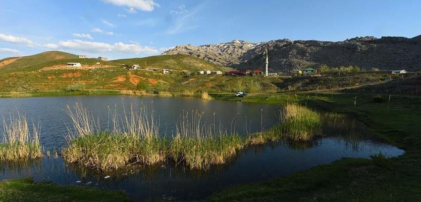 Konya'da bir günde oluştu! 80 metre derinlikte altın var: 2 metrelik balıklar görüldü