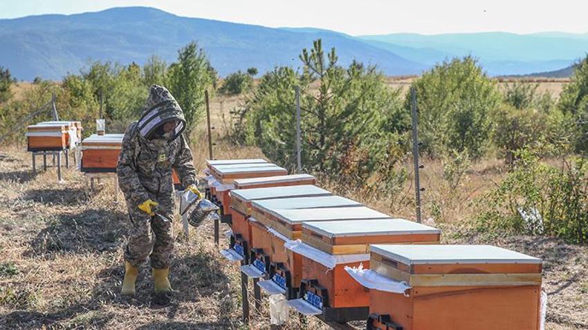 İstanbul'daki hayatını bıraktı, arıları için her hafta 900 kilometre yol yapmaya başladı!