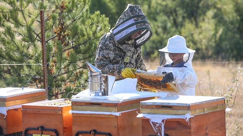 İstanbul'daki hayatını bıraktı, arıları için her hafta 900 kilometre yol yapmaya başladı!