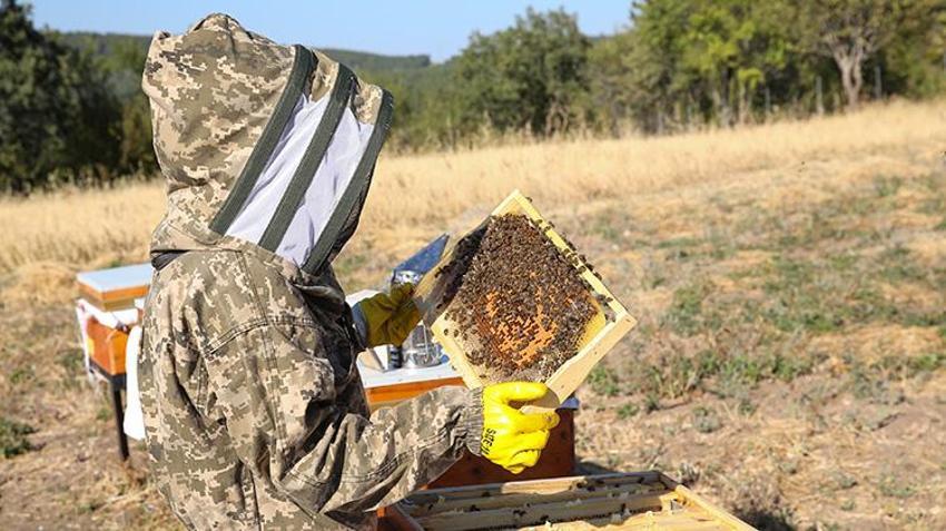 İstanbul'daki hayatını bıraktı, arıları için her hafta 900 kilometre yol yapmaya başladı!