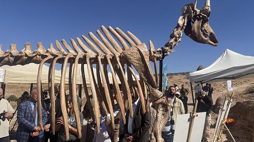 7,7 milyon yıllık keşif şaşkına çevirdi! Dünyada eşi benzeri yok! "Mucize gibi bir şey"